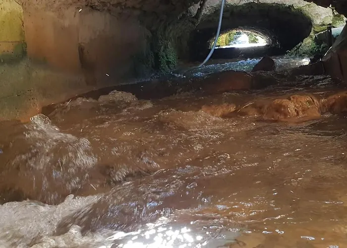 Ruisseau & Fleur... Apartment